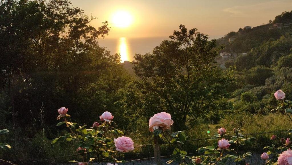 Photo of Outdoor in Longobardi