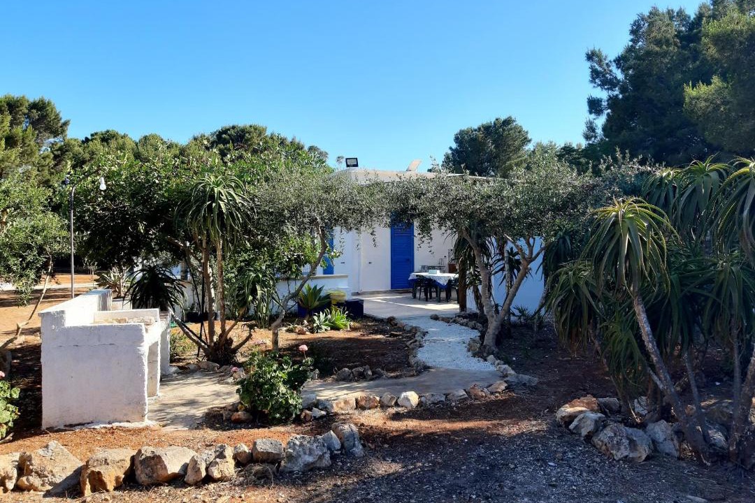 Photo of Others in Favignana