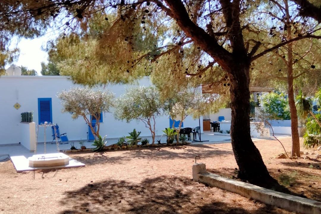Photo of Others in Favignana
