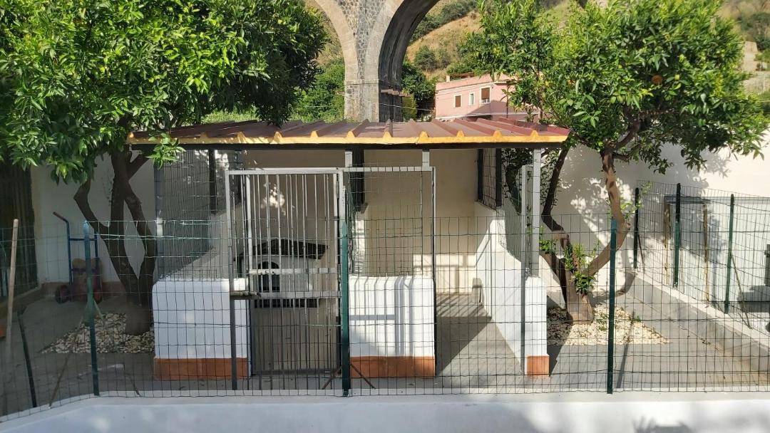 Photo of Others in Trappitello