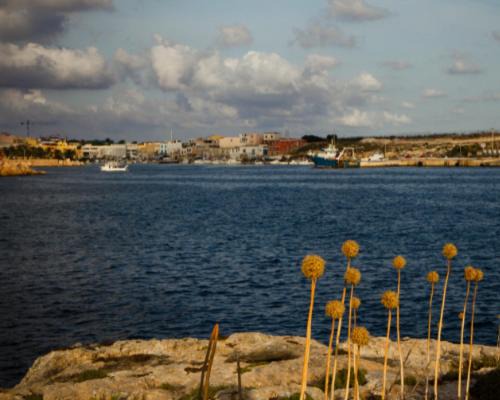 Photo of Others in Lampedusa