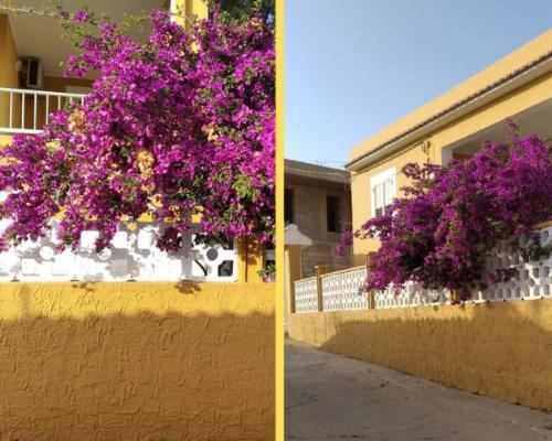 Photo of Others in Lampedusa