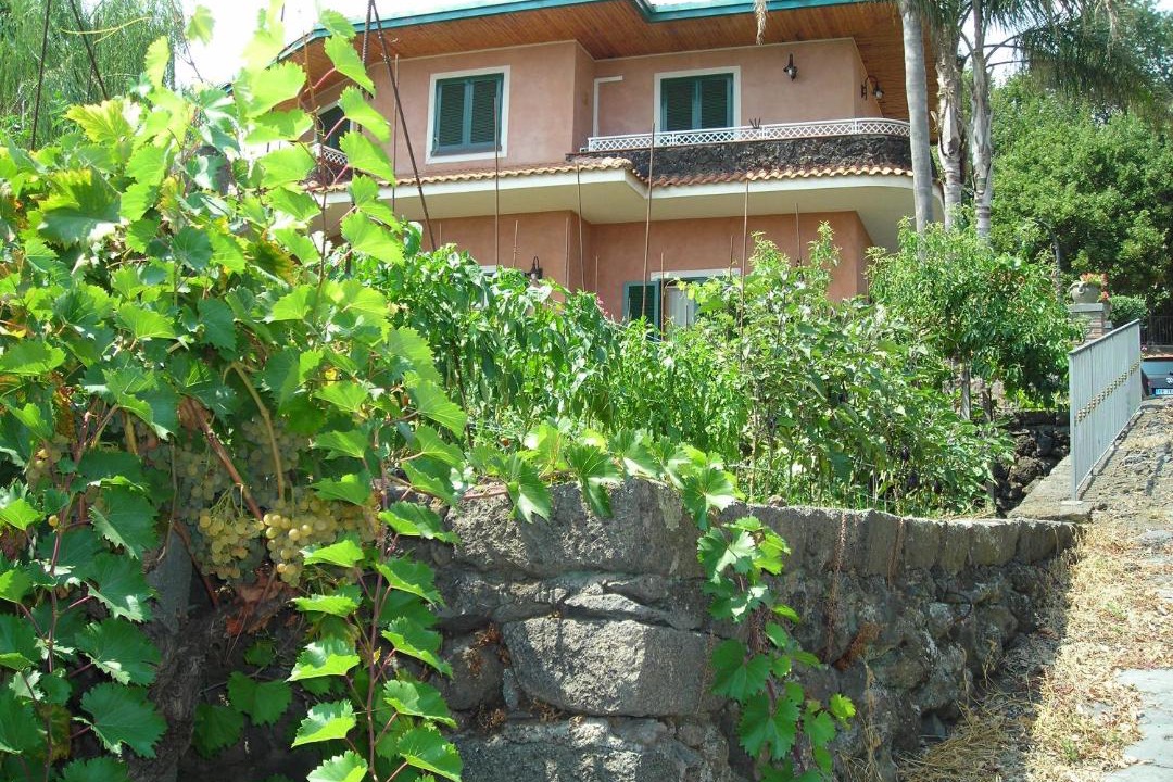 Photo of Others in Santa Venerina