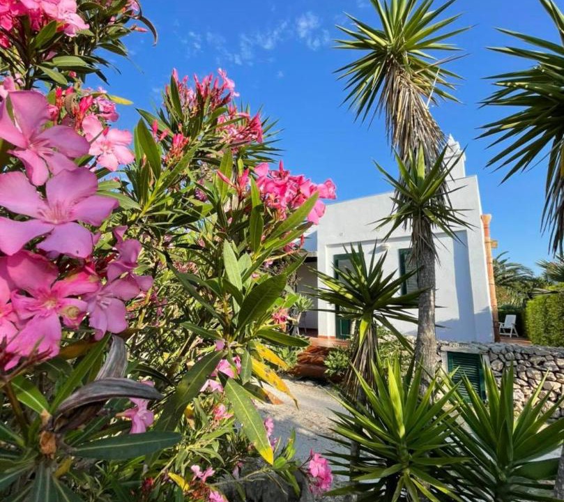 Photo of Others in Favignana
