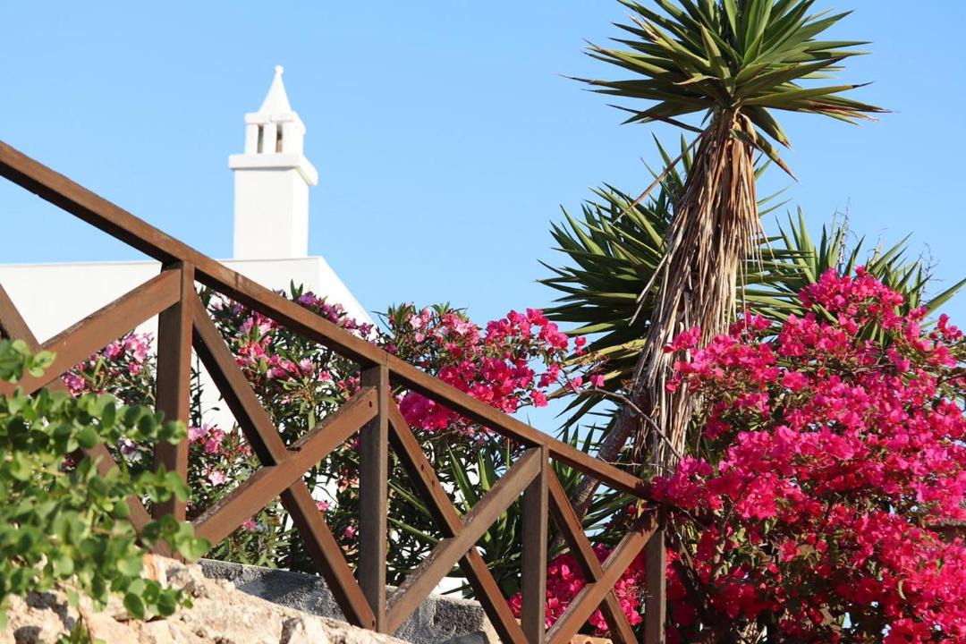 Photo of Others in Favignana