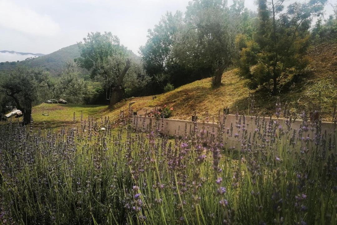 Photo of Others in Caccamo