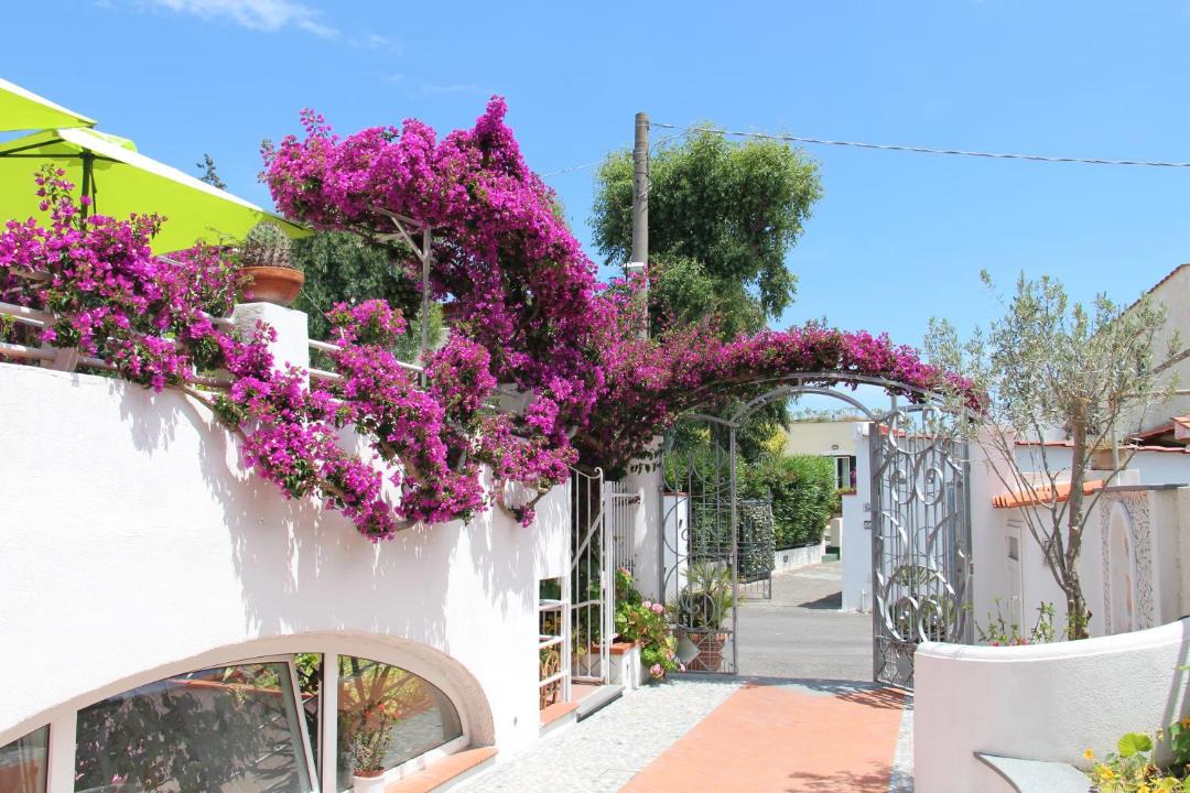 Photo of Others in Ischia Porto