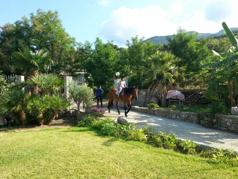Photo of Others in Paola