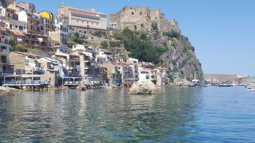 Photo of Others in Scilla