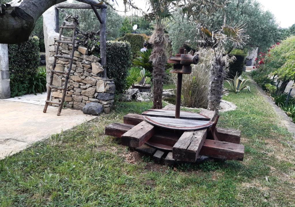 Photo of Others in Piedimonte Etneo
