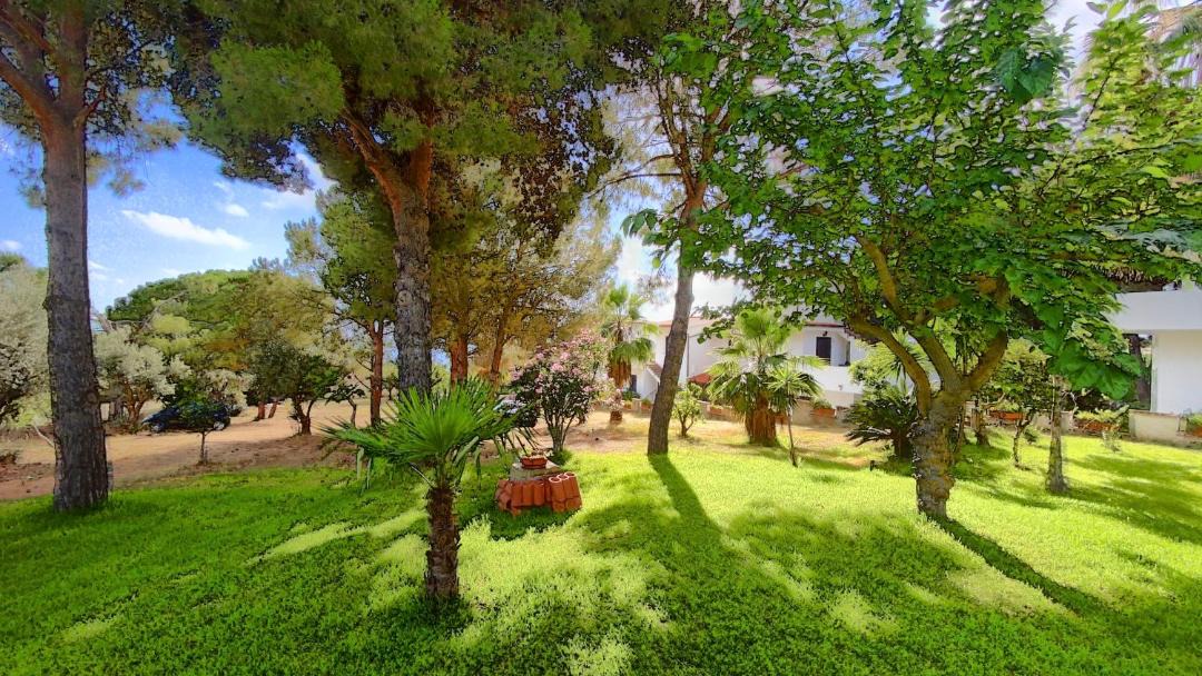 Photo of Outdoor in Santa Maria