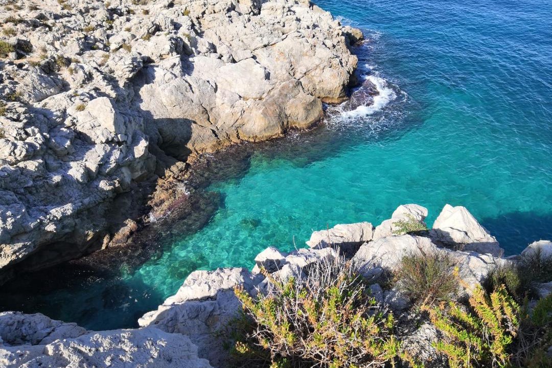 Photo of Others in Capo Zafferano