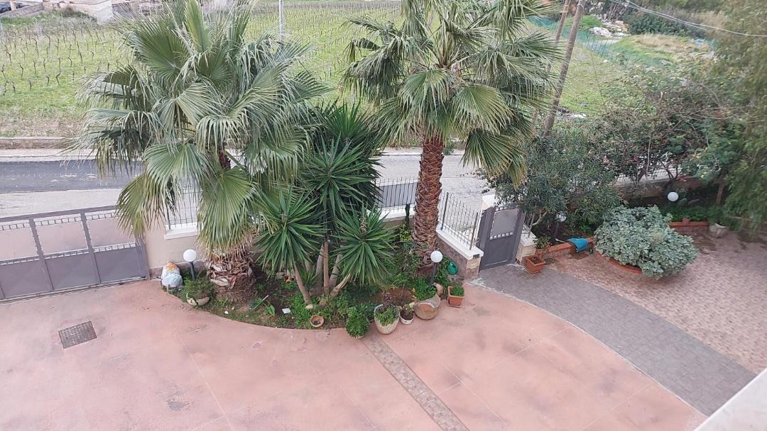 Photo of Others in Alcamo