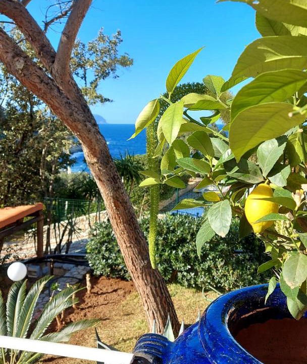 Photo of Others in Capo Zafferano