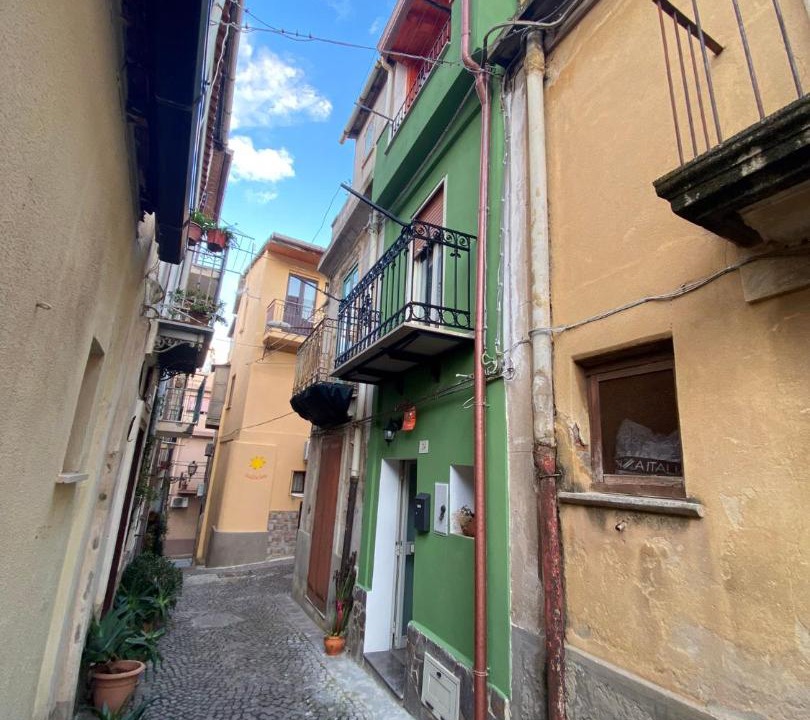 Photo of Others in Scilla