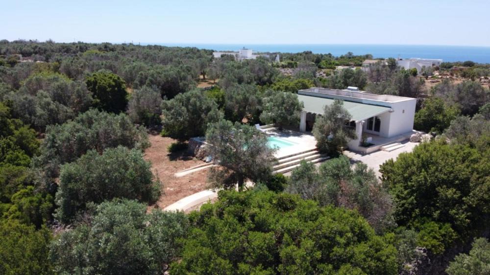 Photo of Others in Castrignano del Capo