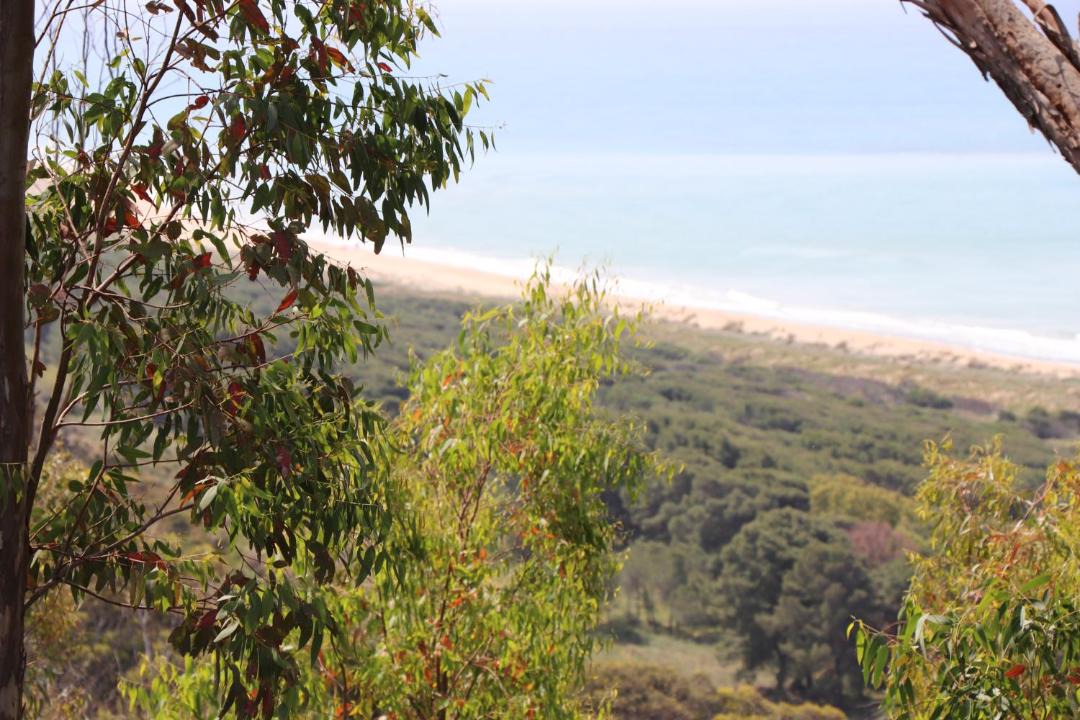 Photo of Others in Siculiana