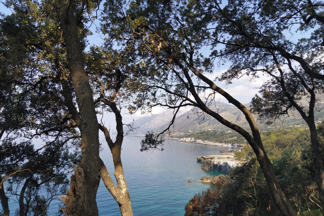 Photo of Others in Marina di Maratea