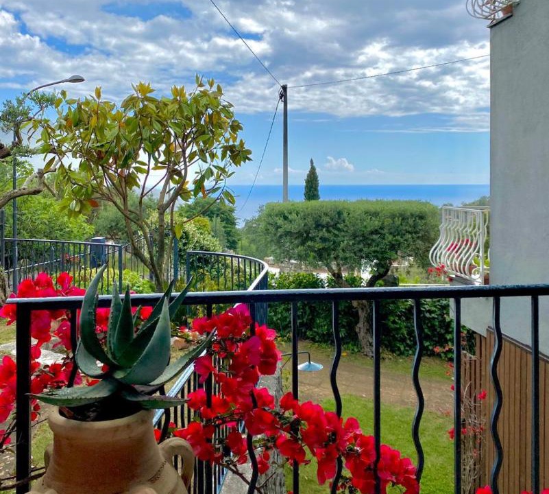 Photo of Others in Maratea