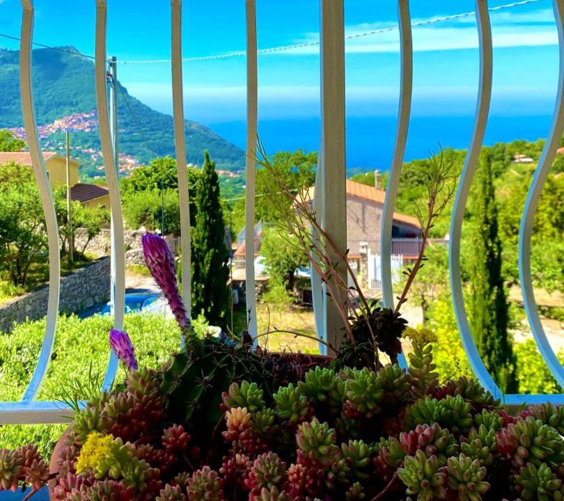 Photo of Others in Maratea
