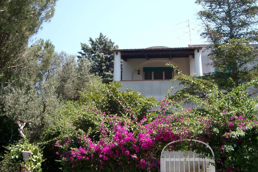 Photo of Others in Anacapri