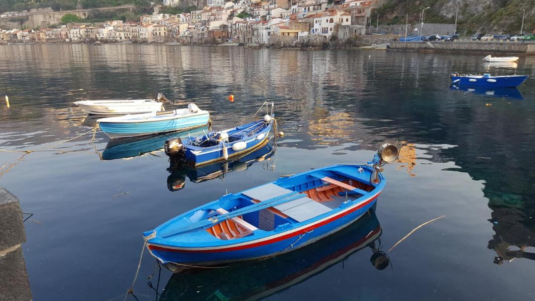 Photo of Others in Scilla