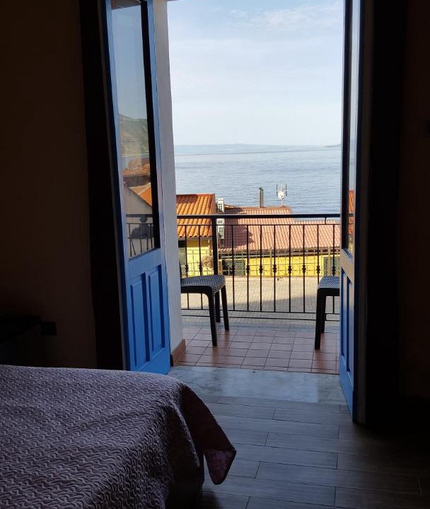 Photo of Others in Scilla