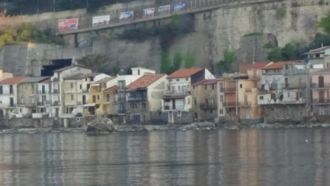 Photo of Others in Scilla