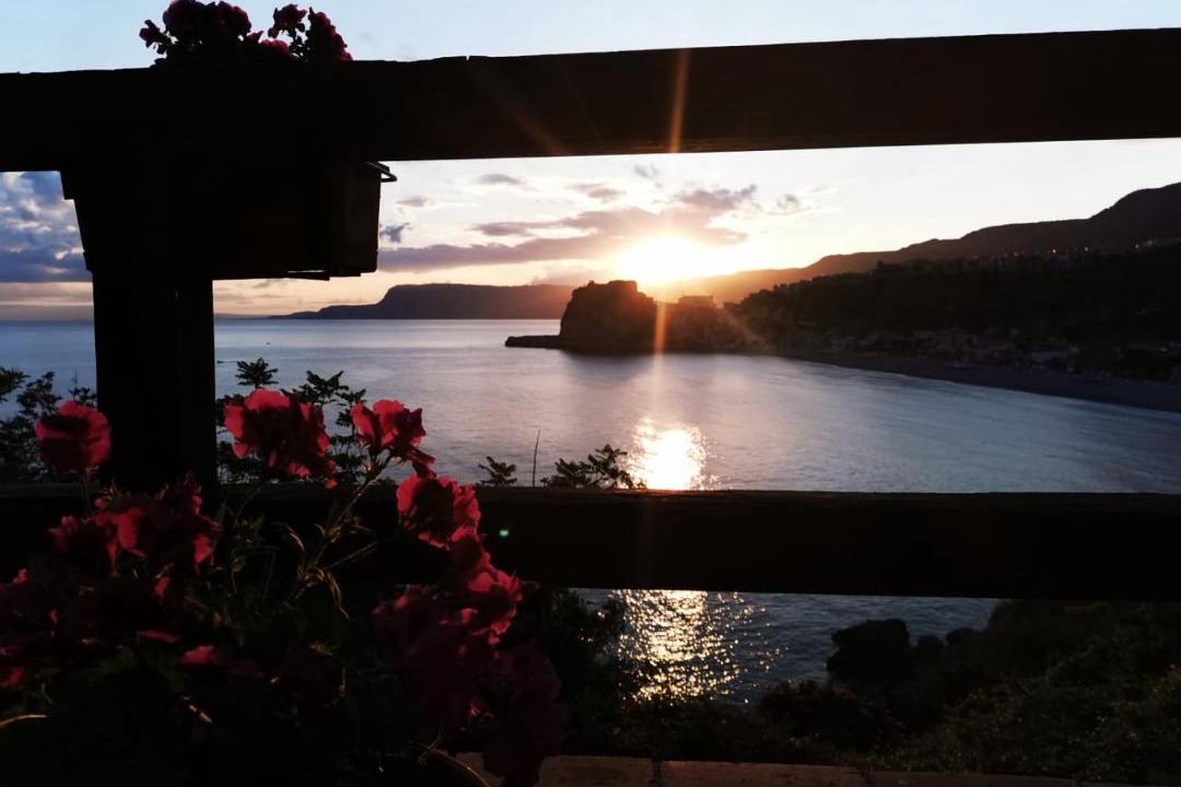 Photo of Others in Scilla