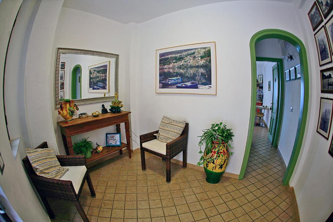 Photo of Others in Scilla