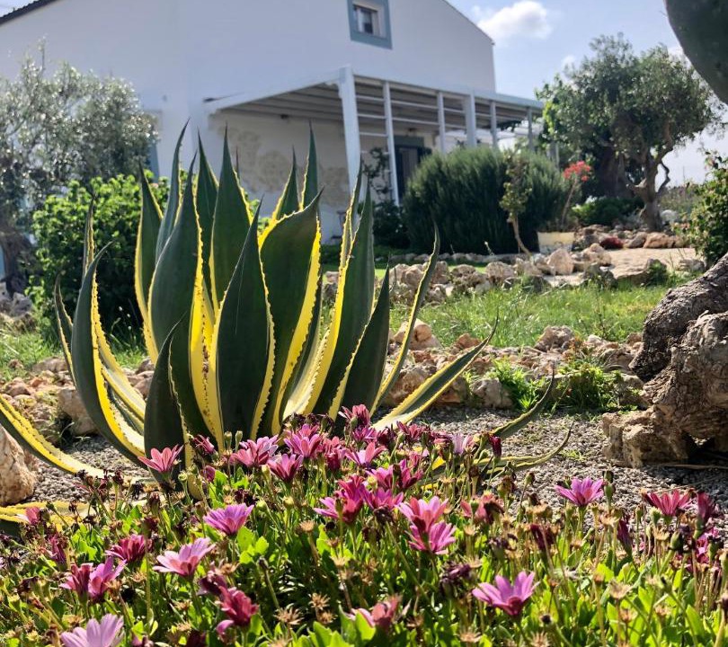 Photo of Others in Portopalo di Capo Passero