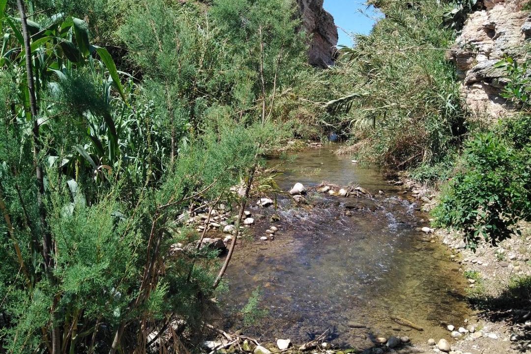 Photo of Others in Calatafimi