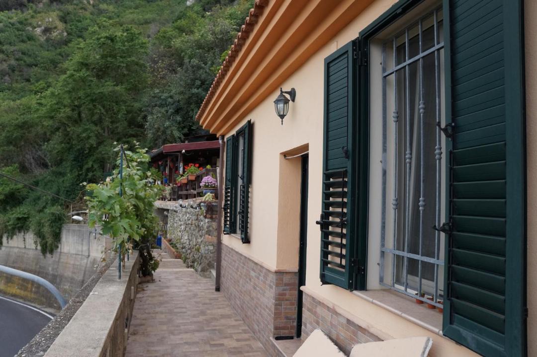 Photo of Others in Scilla