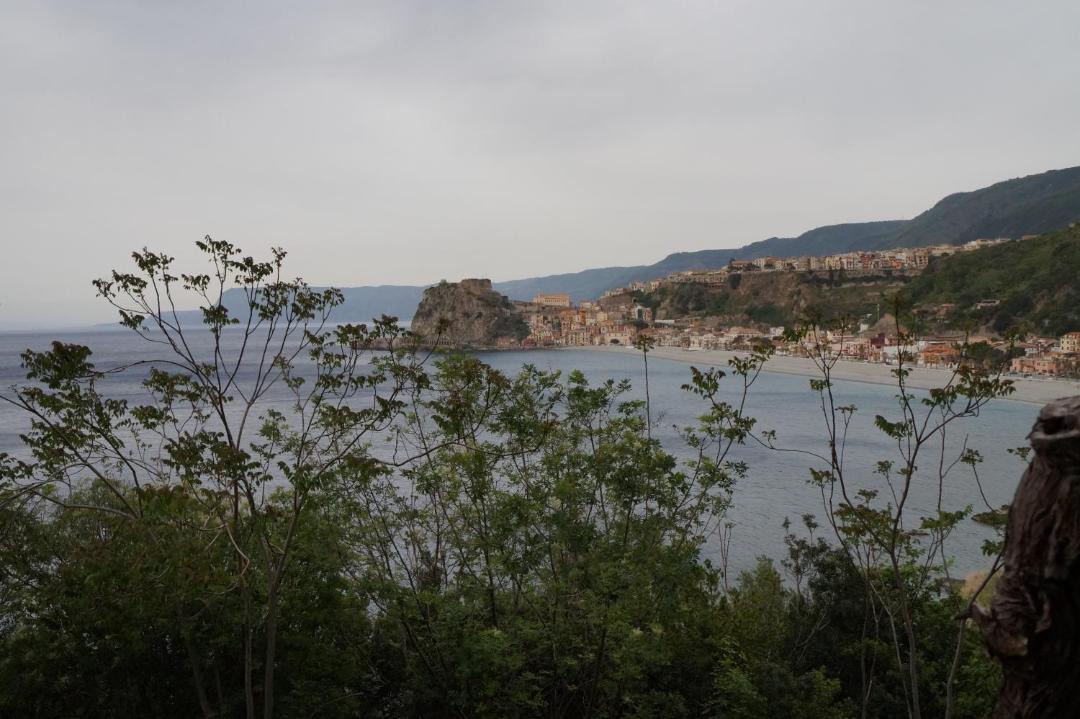 Photo of Others in Scilla
