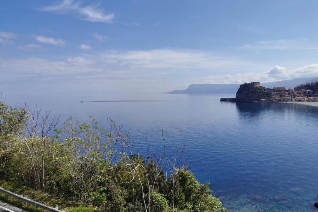 Photo of Others in Scilla