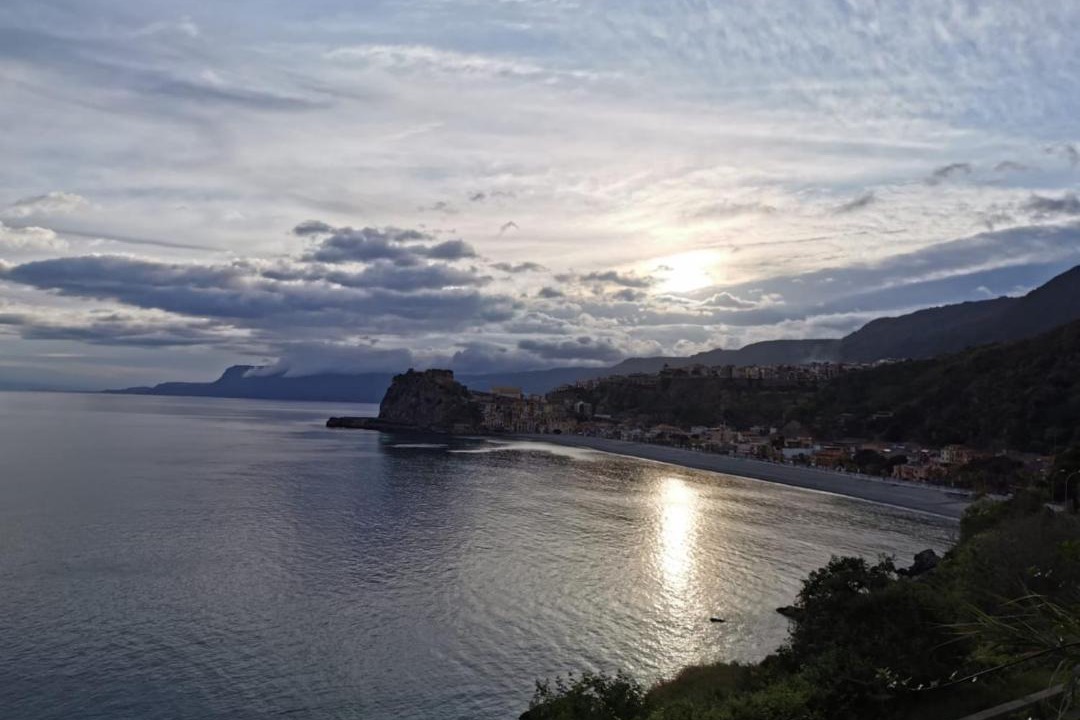 Photo of Others in Scilla