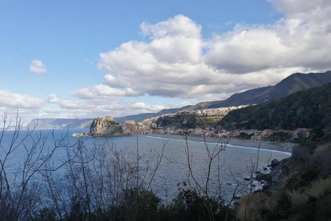 Photo of Others in Scilla