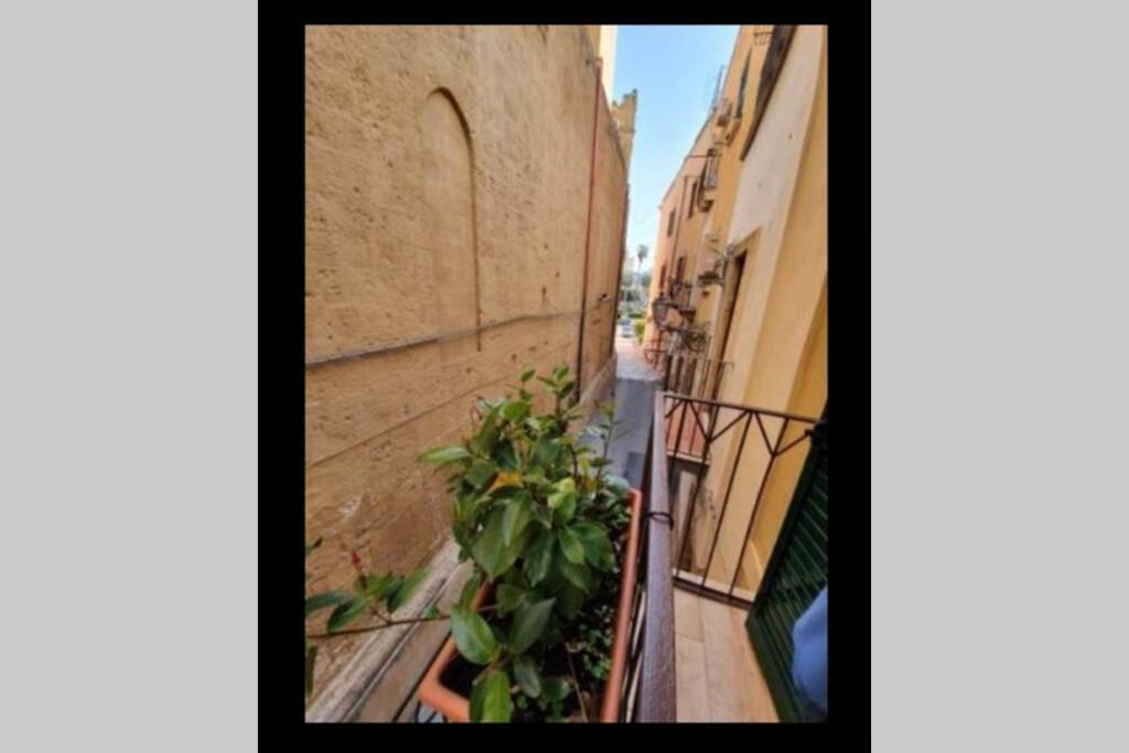 Photo of Others in Isola del Borgo Antico