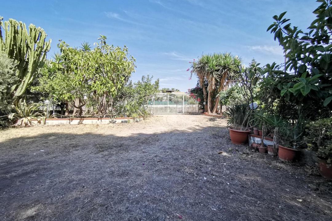 Photo of Others in Solfarelli
