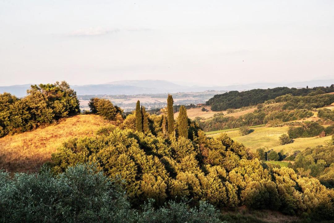 Photo of Others in Torrita di Siena