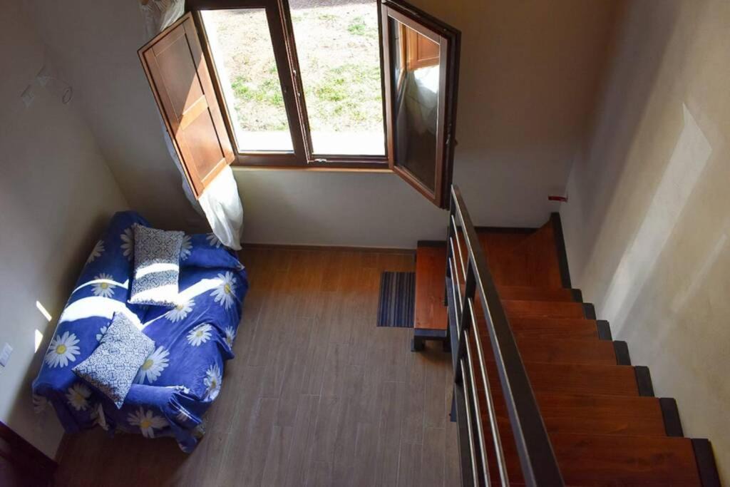 Photo of Bedroom in Drapia