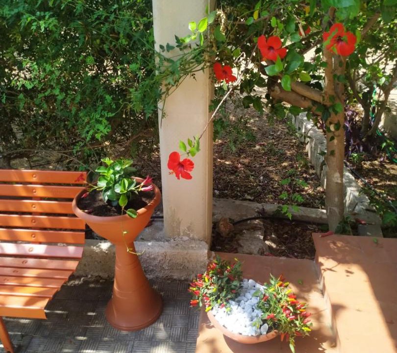 Photo of Patio Balcony in Avola