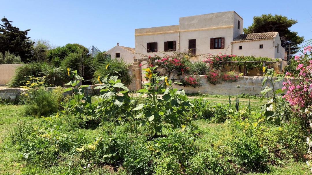 Photo of Others in Marsala