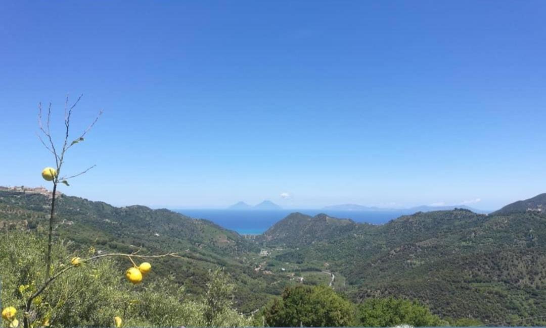 Photo of Outdoor in Naso