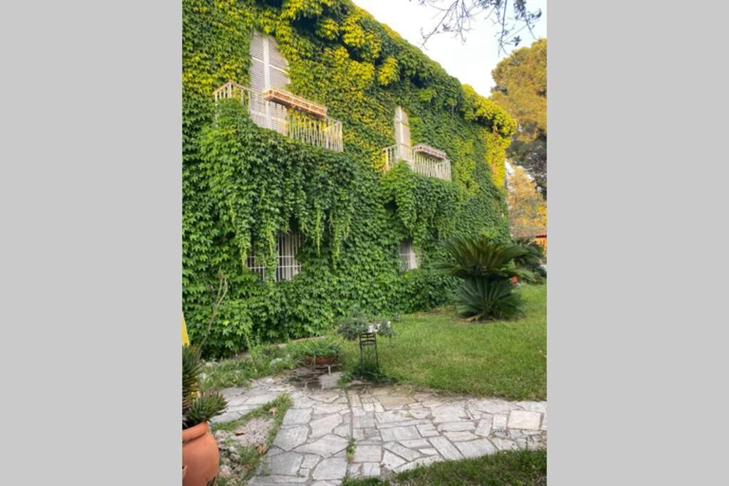 Photo of Others in Battipaglia