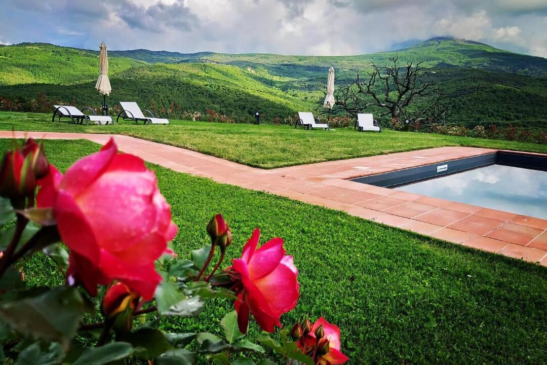 Photo of Others in Castiglione d'Orcia