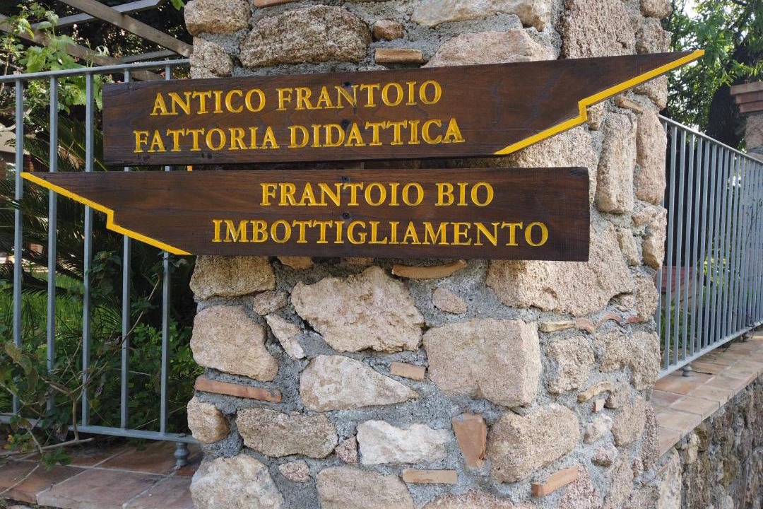 Photo of Others in Amantea