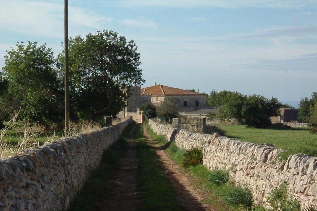 Photo of Others in Donnafugata
