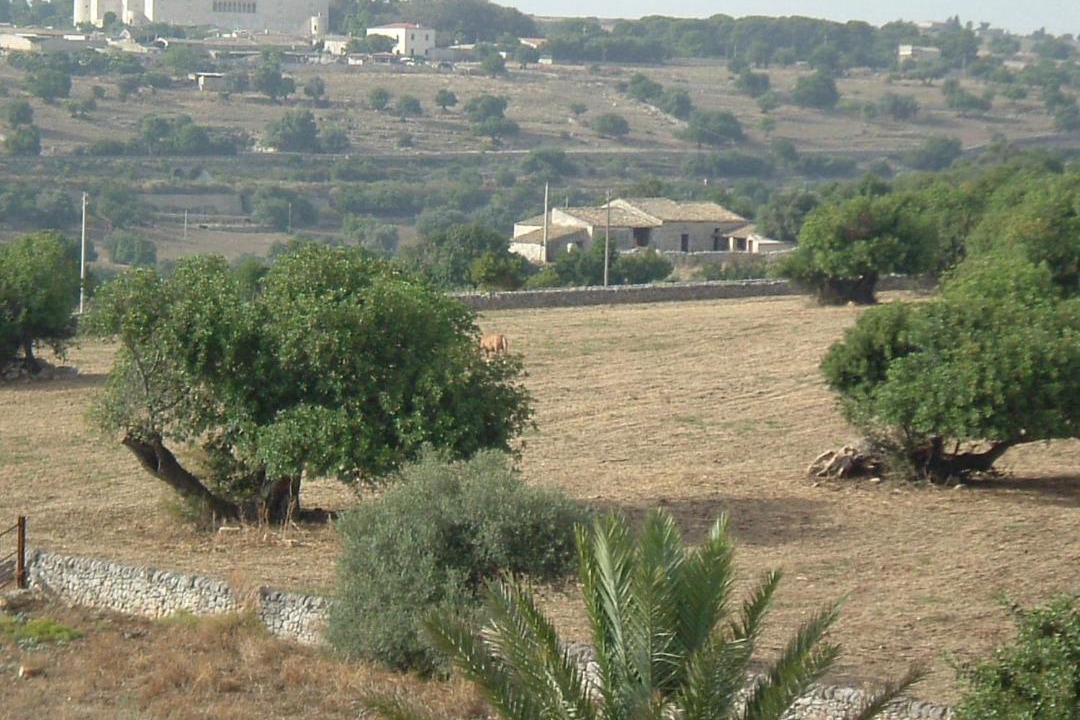 Photo of Others in Donnafugata