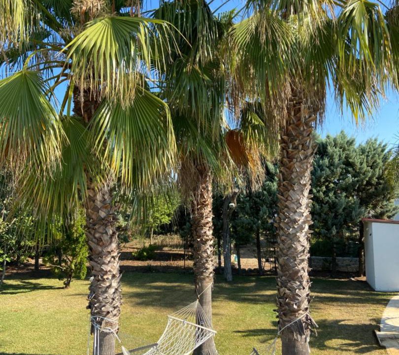 Photo of Outdoor in Brindisi